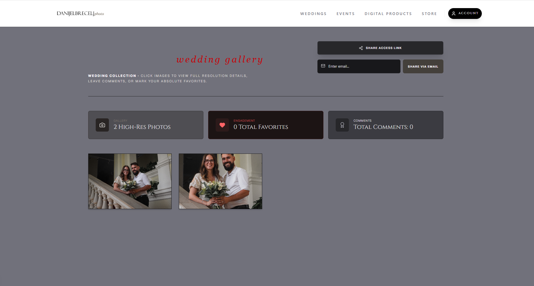 Private Gallery Interface Preview