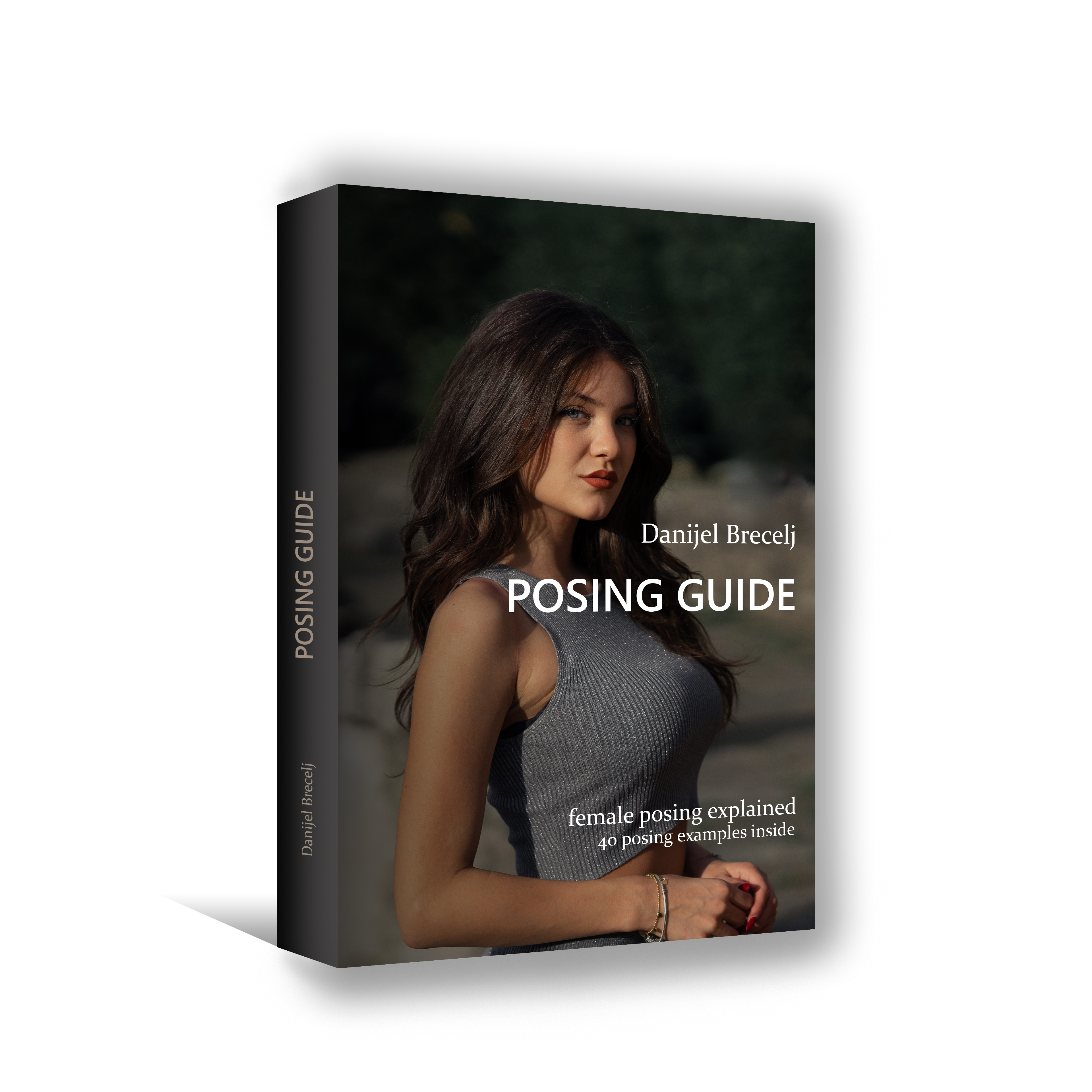 Posing guide
